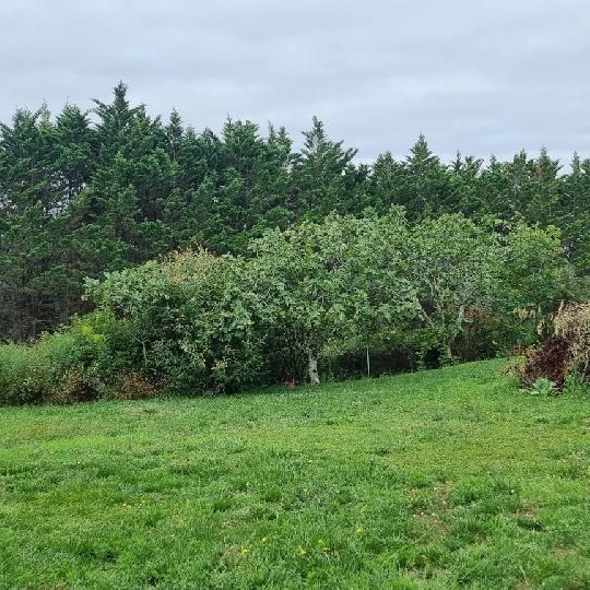  Annonces AUCH : Terrain | AUCH (32000) | 650 m2 | 71 000 &euro; 