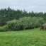  Annonces AUCH : Terrain | AUCH (32000) | 650 m2 | 71 000 &euro; 