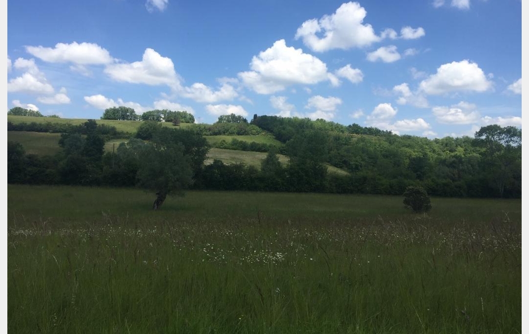Annonces AUCH : Terrain | AUCH (32000) | 0 m2 | 425 020 &euro; 