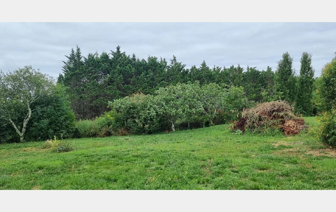 Annonces AUCH : Terrain | AUCH (32000) | 650 m2 | 71 000 &euro; 